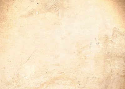 Kopie van Leonardo's Sketchbook